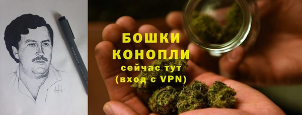 PSILOCYBIN Бугульма